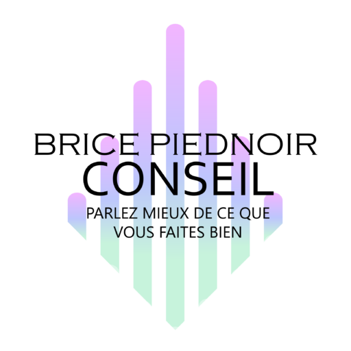 Brice Piednoir Conseil